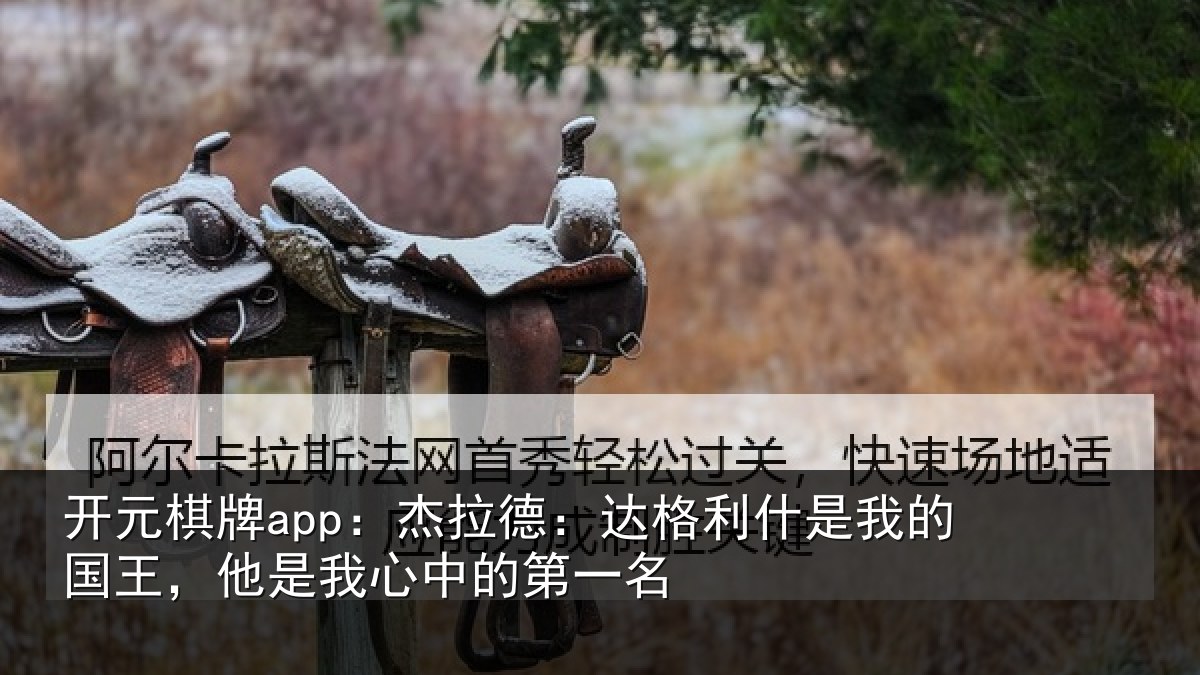 开元棋牌app：杰拉相关情况国王相关情况名