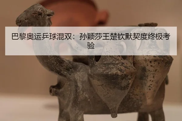 巴黎奥运乒球混双：孙颖莎王楚钦默契度终极考验