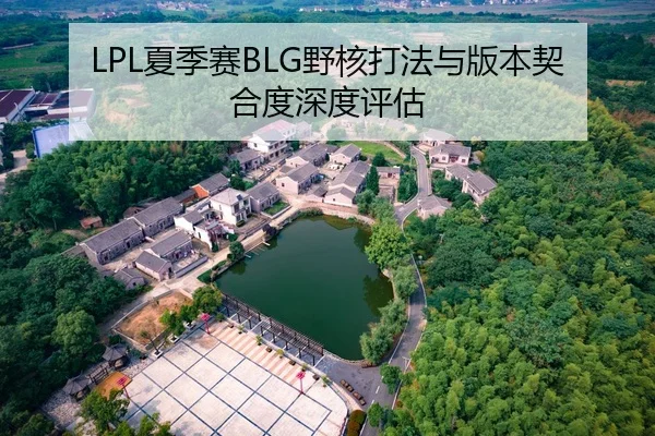 LPL夏季赛BLG野核打法与版本契合度深度评估