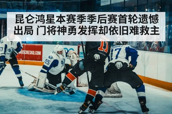 ice hockey defense