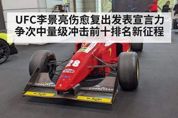 UFC李景亮伤愈复出发表宣言力争次中量级冲击前十排名新征程