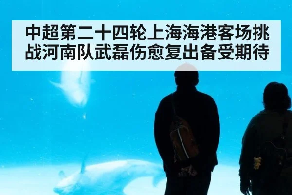 中超第二十四轮上海海港客场挑战河南队武磊伤愈复出备受期待